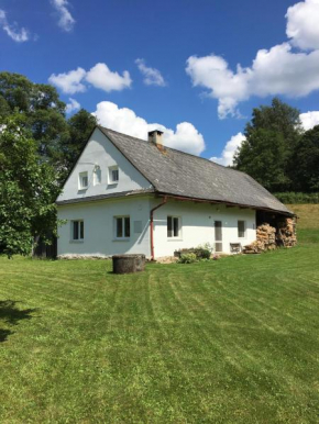 Vikantice